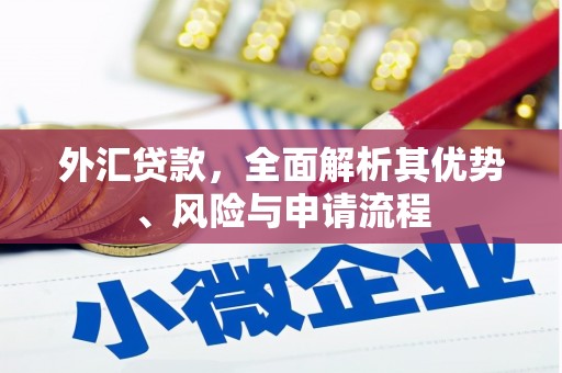 天台外汇贷款，全面解析其优势、风险与申请流程