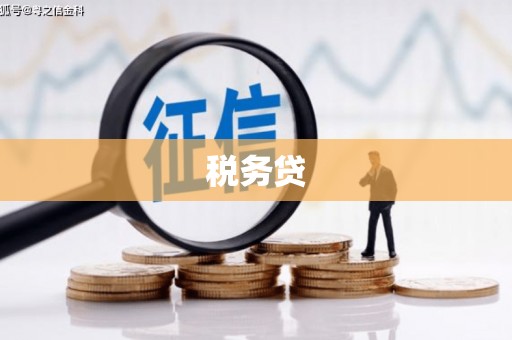 天台税务贷