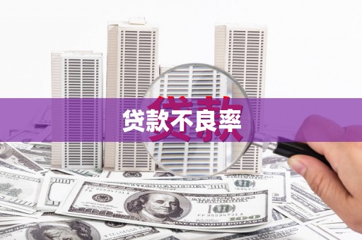 天台贷款不良率