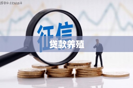 天台贷款养殖