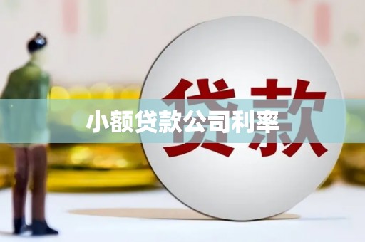 天台小额贷款公司利率