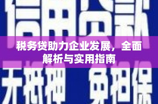 天台税务贷助力企业发展，全面解析与实用指南