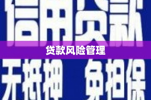 天台贷款风险管理