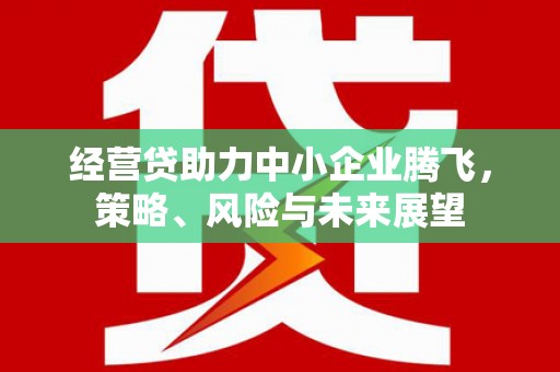 天台经营贷助力中小企业腾飞，策略、风险与未来展望