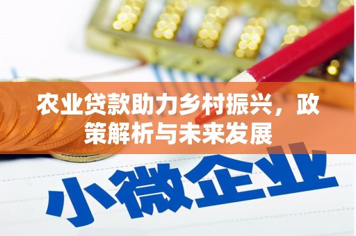 天台农业贷款助力乡村振兴，政策解析与未来发展