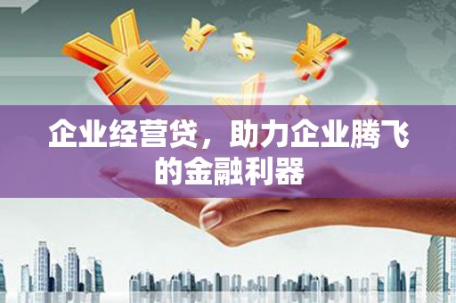 天台企业经营贷，助力企业腾飞的金融利器