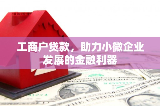 天台工商户贷款，助力小微企业发展的金融利器