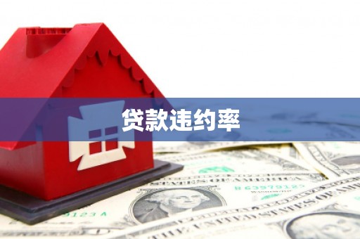天台贷款违约率