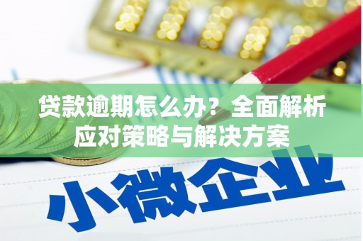 天台贷款逾期怎么办？全面解析应对策略与解决方案