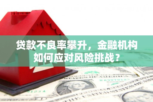 天台贷款不良率攀升，金融机构如何应对风险挑战？
