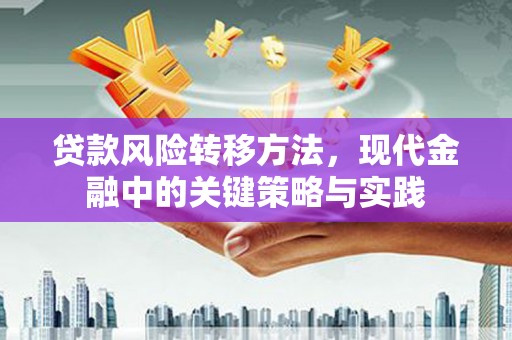 天台贷款风险转移方法，现代金融中的关键策略与实践