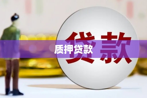 天台质押贷款