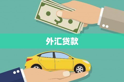 天台外汇贷款