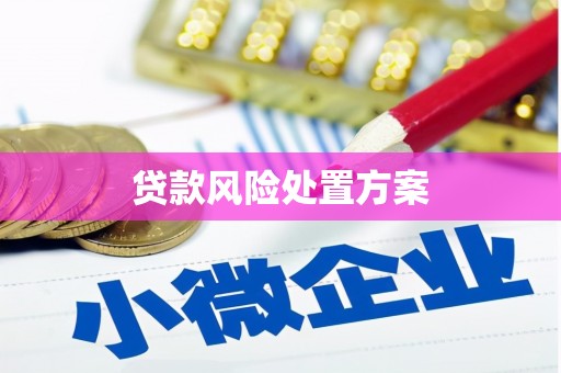 天台贷款风险处置方案