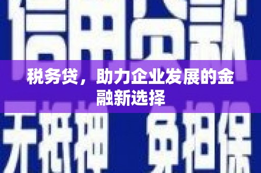 天台税务贷，助力企业发展的金融新选择