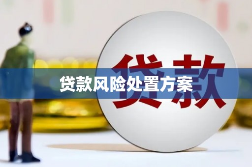 天台贷款风险处置方案