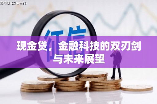 天台现金贷，金融科技的双刃剑与未来展望