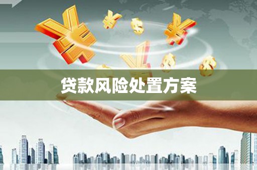 天台贷款风险处置方案