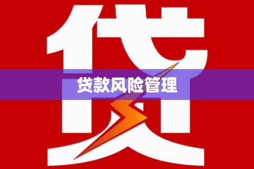 天台贷款风险管理
