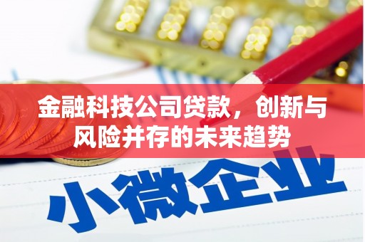 天台金融科技公司贷款，创新与风险并存的未来趋势