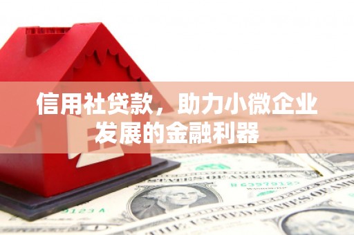 天台信用社贷款，助力小微企业发展的金融利器