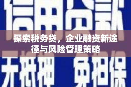天台探索税务贷，企业融资新途径与风险管理策略
