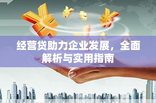 天台经营贷助力企业发展，全面解析与实用指南
