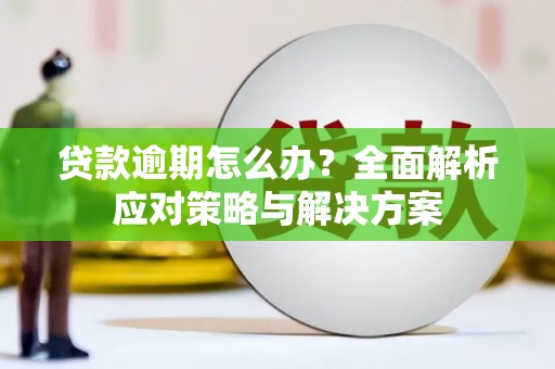 天台贷款逾期怎么办？全面解析应对策略与解决方案