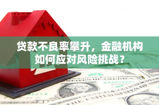 天台贷款不良率攀升，金融机构如何应对风险挑战？