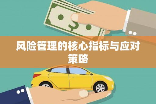 天台风险管理的核心指标与应对策略