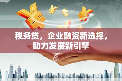 天台税务贷，企业融资新选择，助力发展新引擎