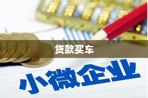 天台贷款买车