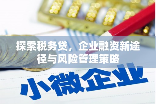 天台探索税务贷，企业融资新途径与风险管理策略