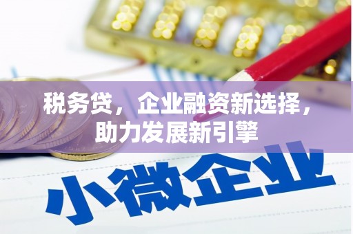 天台税务贷，企业融资新选择，助力发展新引擎