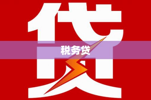 天台税务贷