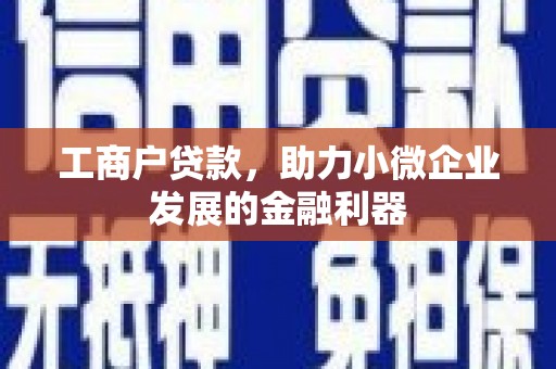 天台工商户贷款，助力小微企业发展的金融利器
