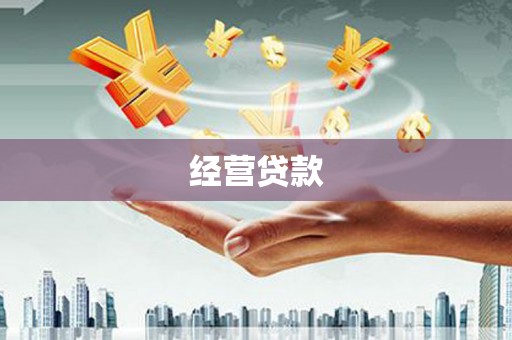 天台经营贷款