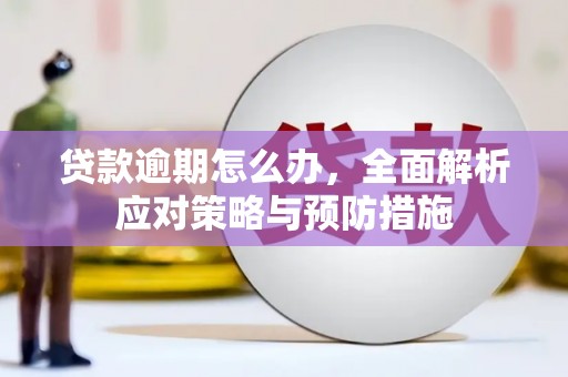 天台贷款逾期怎么办，全面解析应对策略与预防措施
