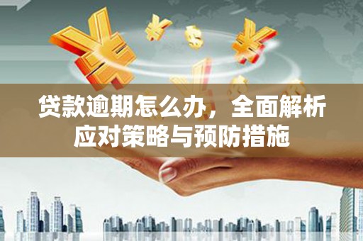 天台贷款逾期怎么办，全面解析应对策略与预防措施