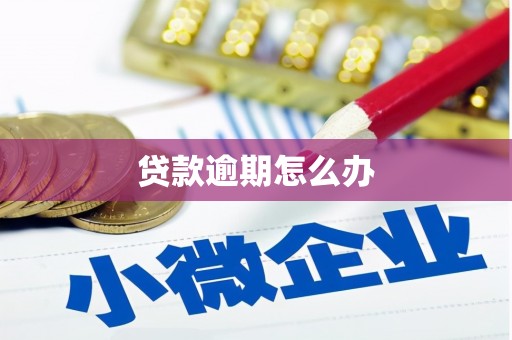 天台贷款逾期怎么办