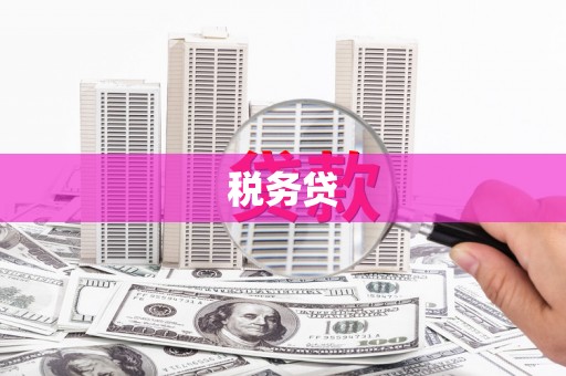 天台税务贷