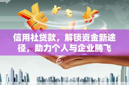 天台信用社贷款，解锁资金新途径，助力个人与企业腾飞