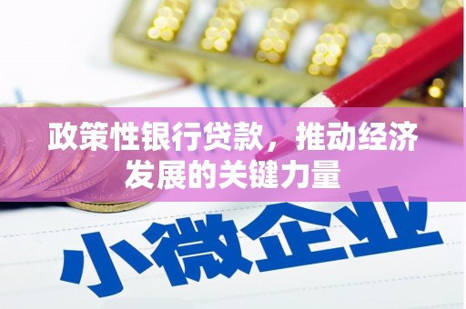 天台政策性银行贷款，推动经济发展的关键力量