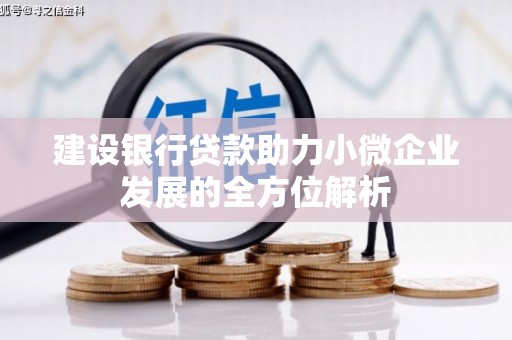 天台建设银行贷款助力小微企业发展的全方位解析