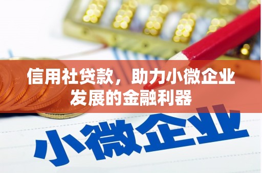 天台信用社贷款，助力小微企业发展的金融利器