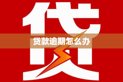 天台贷款逾期怎么办