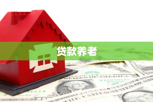 天台贷款养老
