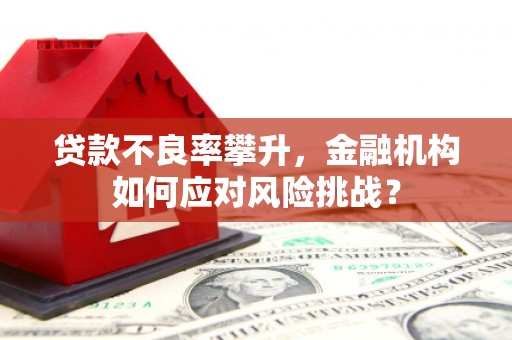 天台贷款不良率攀升，金融机构如何应对风险挑战？