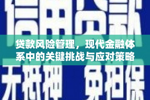 天台贷款风险管理，现代金融体系中的关键挑战与应对策略