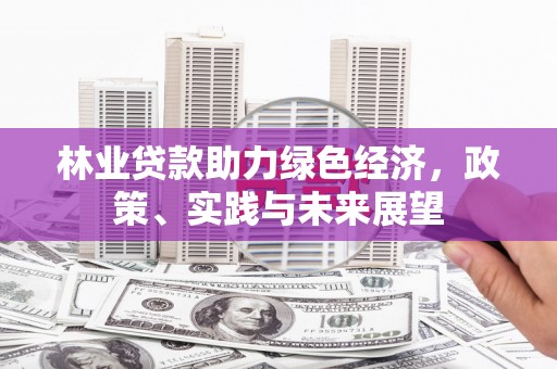 天台林业贷款助力绿色经济，政策、实践与未来展望